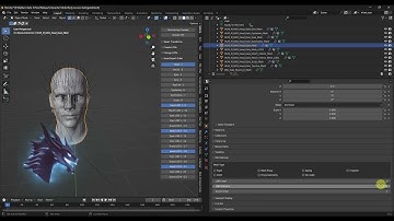 BG3 Head Order Plugin