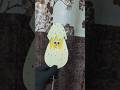 Cute paper egg 🥚 craft short video reverse video #youtubeshorts #shortvideo #yt #art