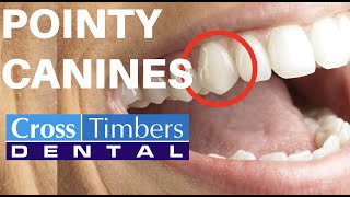 Case Of The Week Pointy Canines