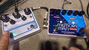 DOD rubberneck vs Electro Harmonix deluxe memory man 1100-TT