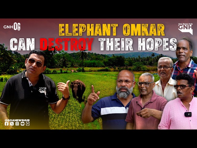 ELEPHANT OMKAR CAN DESTROY THEIR HOPES  | GNH OG | 14/04/2026 | GNH