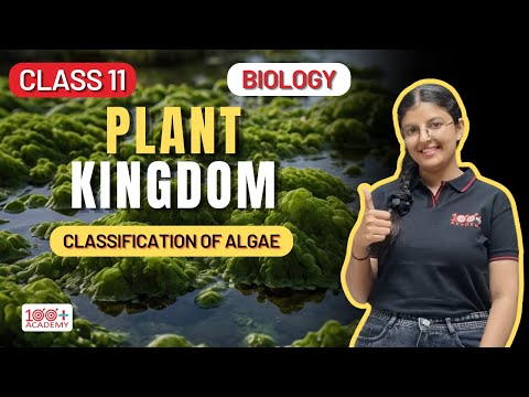 Plant Kingdom Class 11 Classification of Algae | Easy & Detailed Explanation! 100 Plus Academy - video from 100 Plus Academy