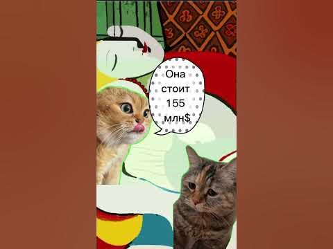 Кошки беседуют. Коты общаются. Кошки беседуют. Коммуникация животных. Кошачий разговор.