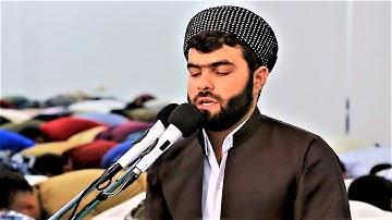 تلاوة مؤثرة في سورة القيامة للقارئ بيشةوا قادر الكردي  Surah Al Qiyama by Peshawa qadir Kurdi
