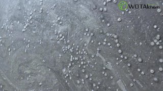 How to Handle Bubbles in SelfLeveling Mortar? | Solutions with Additives Recommendation