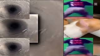 177 shuric scans with are slides daily version 