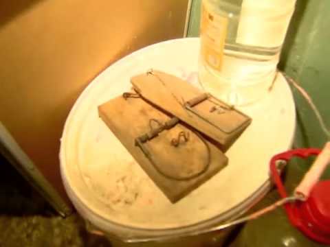 რა მდგომარეობაა საჯარო სკოლების ბუფეტებში