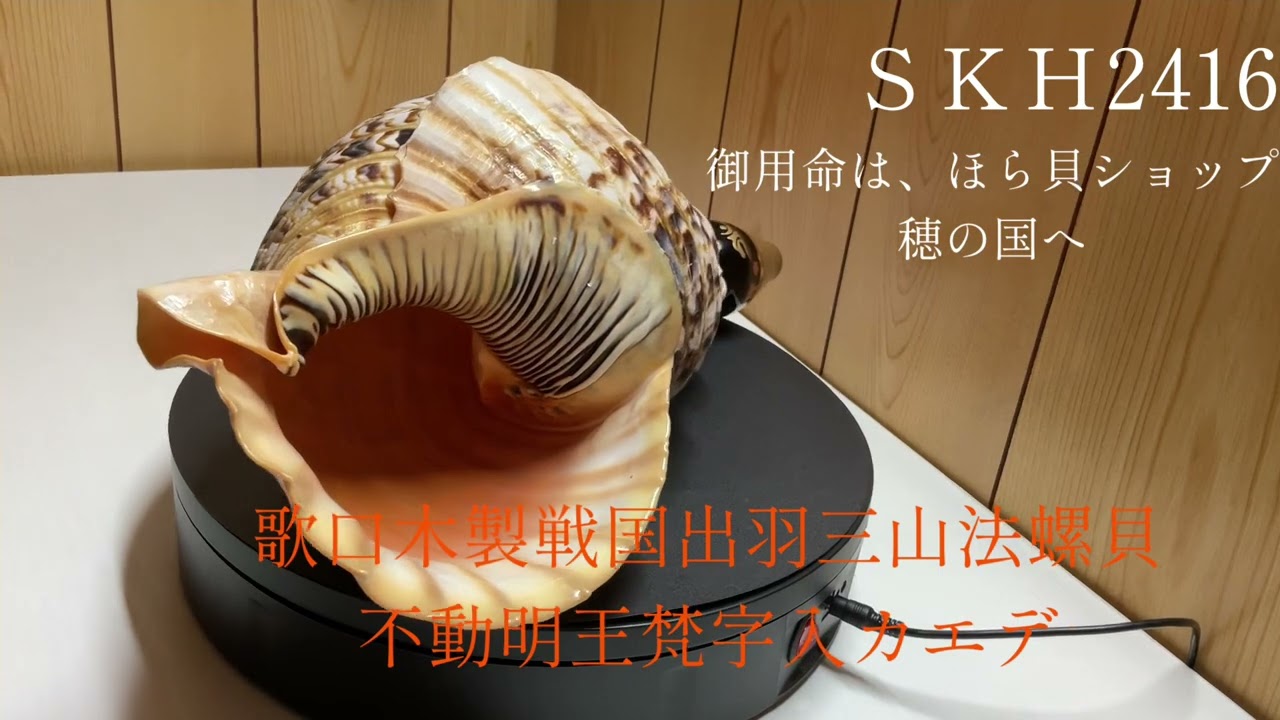 法螺貝（ほら貝）販売のお店