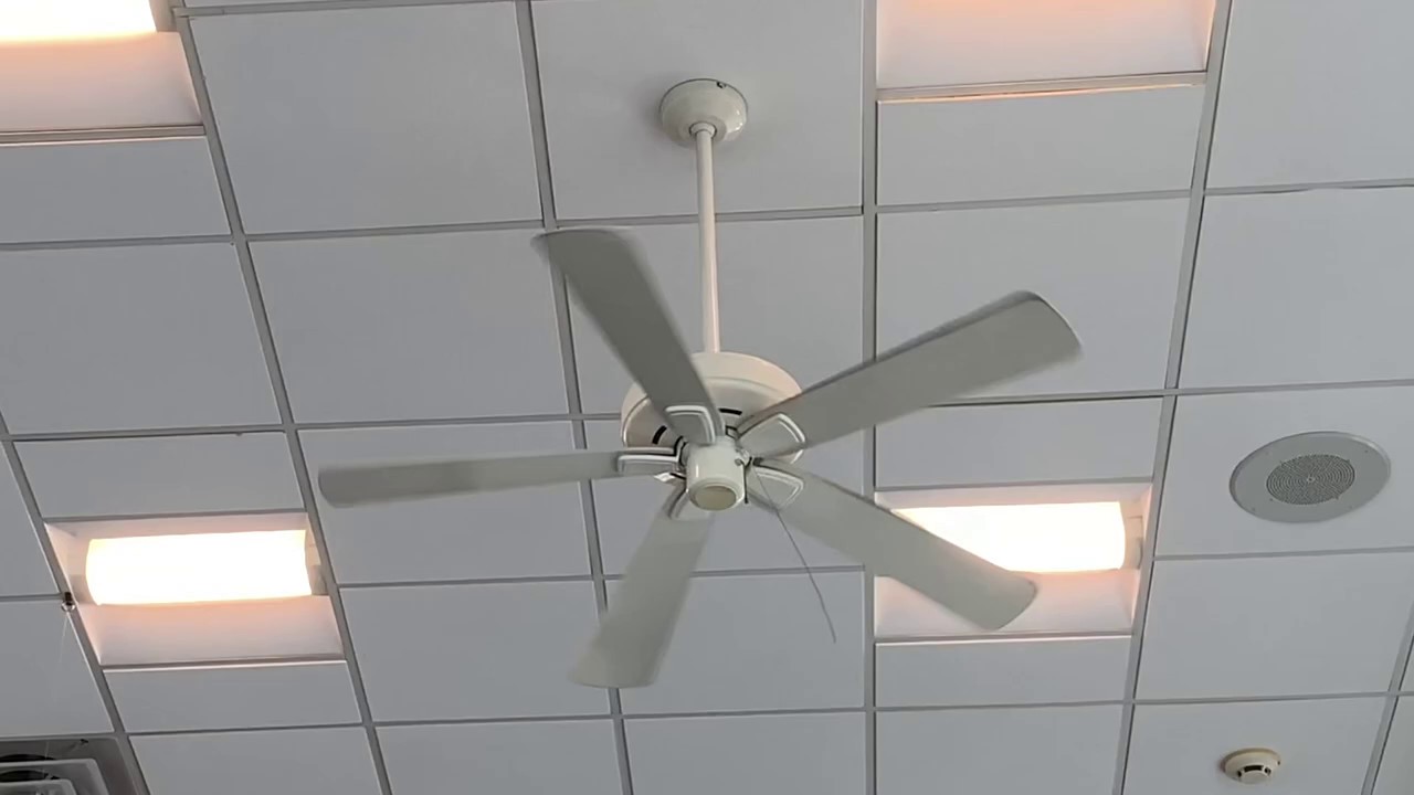 Hunter “Infiniti” Ceiling Fans