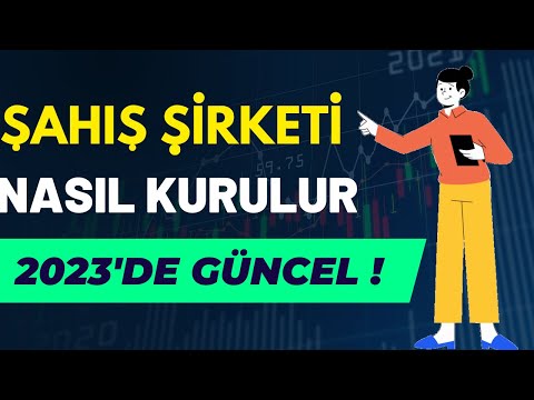 Video: Pergel kendinden tahrikli paletli vinç RDK-250: teknik özellikler