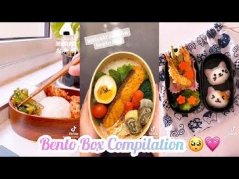 otor bento boxes walmart｜TikTok Search