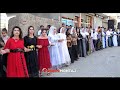 Tekin Ailesinin Düğünü 3 Aydın Tekin Düğünü Müzik Musa Silopi Kurdish Wedding Tekin Ailesinin Düğünü 3 Aydın Tekin Düğünü Müzik Musa Silopi Kurdish Wedding