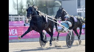 Elitloppet 2021 - Don Fanucci Zet