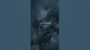 فلما تراءى الجمعان قال اصحاب موسى انا لمدركون - سورة الشعراء - محمد ديبيروف