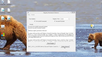 Demonstrating Usage of my Windows Registry Persistence Detector