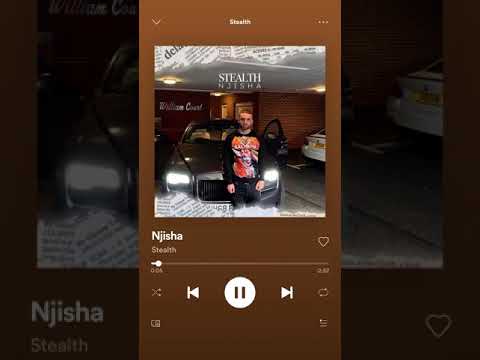 Stealth - Njisha ( original soung 4k)
