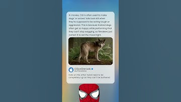 Why Hollywood Uses CGI to Stop Dogs From WAGGING Their Tails on Camera