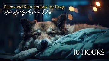 Piano & Rain Sounds for Dogs | Anti-Anxiety Music to Help Your Pet Feel Safe & Calm