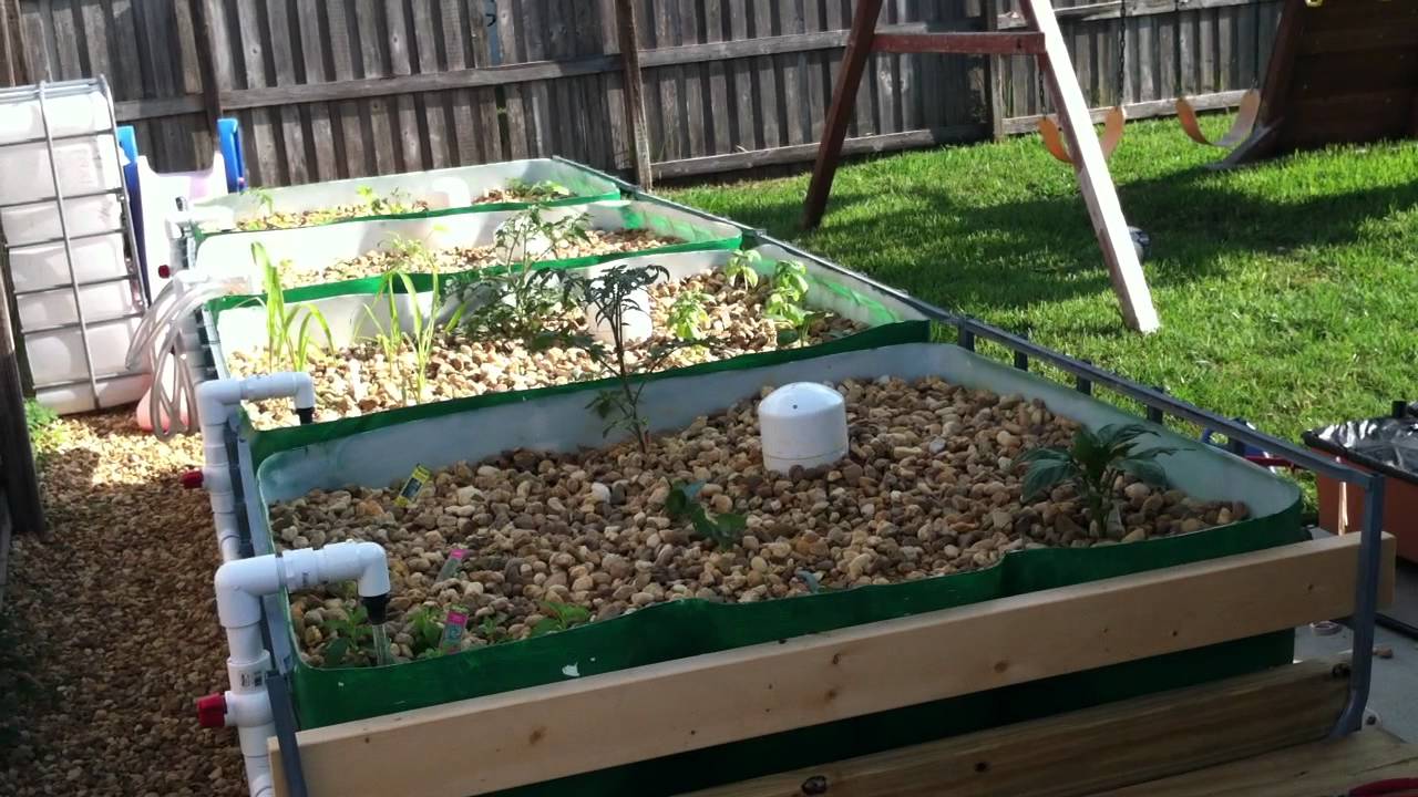 Mikes Aquaponics - Introduction to Aquaponics and Mikes ...
