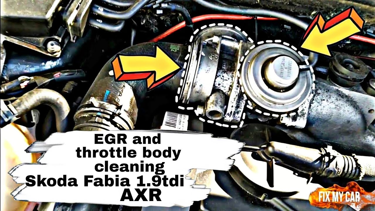 EGR and throttle body cleaning Skoda Fabia 1.9 tdi AXR Fix My Car