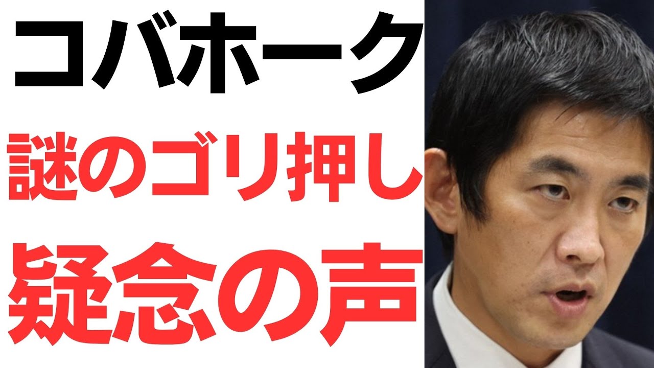 小林鷹之氏の自民党総裁選と消費税政策をめぐる論点｜動画内容を整理のサムネイル