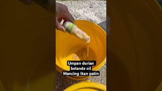 Umpan durian belanda oil mix roti main apong Mancing ikan patin #greenbait