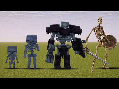 Minecraft Skeleton Evolution - Skeleton banging shield meme ?