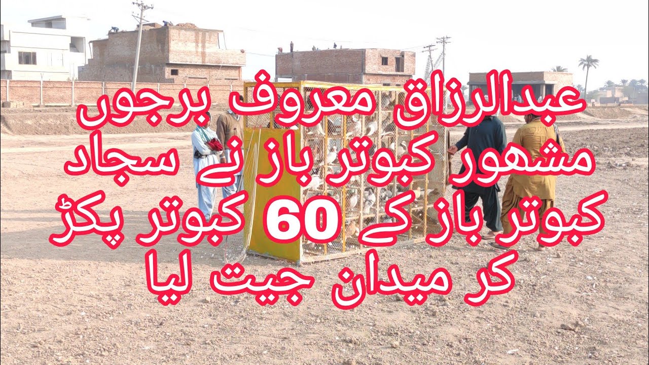 Bara Kara Burjo Mashoor Kabutar baz ne 60 Kabutar Pakr Saji Kabutar Baz Ko shikast Di(کبوتر بازی)