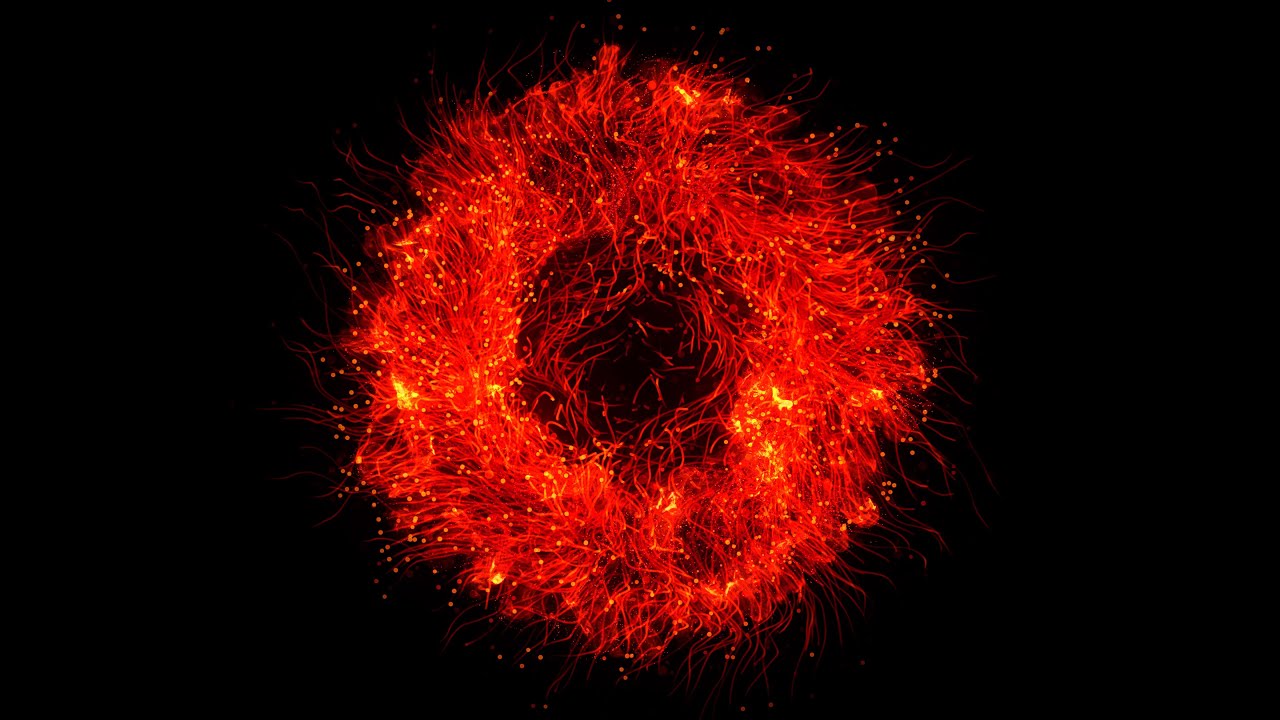 4k golden particle explosion shock wave | Free blast shockwave