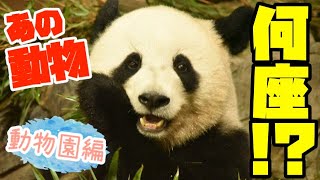 【占い】動物を12星座に当てはめてみた！【動物園にいる動物編】