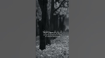 وما كان لنفس ان تموت الا باذن الله - القارئ { ماهر المعيقلي } 😌