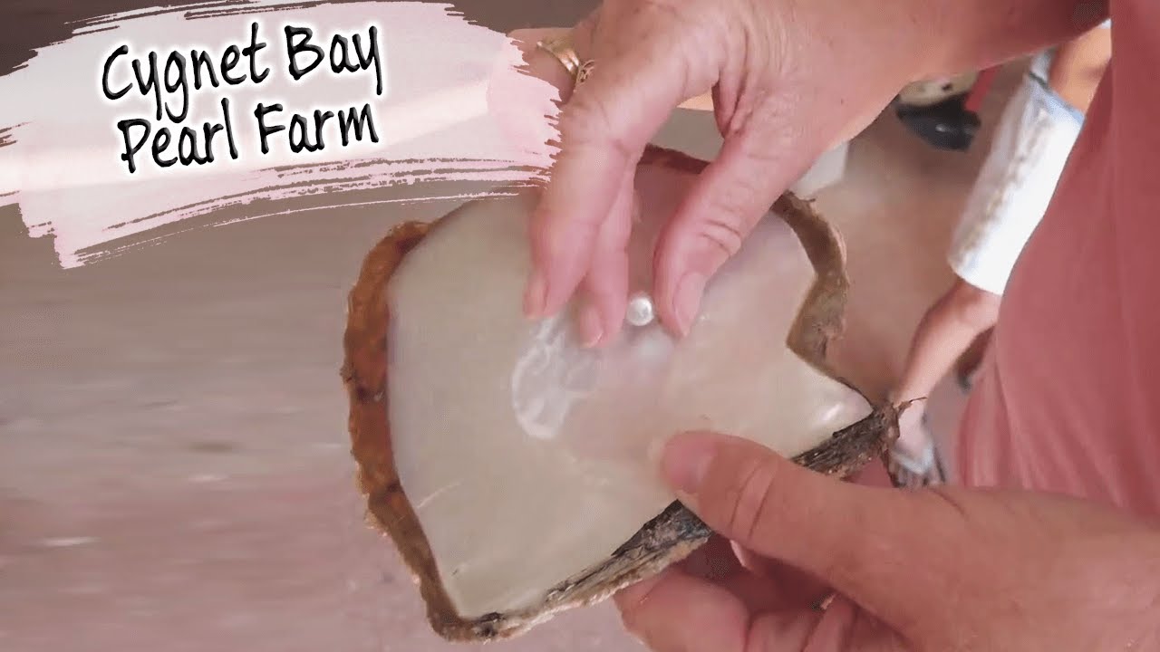 E72 - Squeaky Sand of Silica Beach & Berthing a Pearl at Cygnet Bay