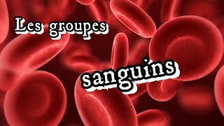 Les groupes sanguins