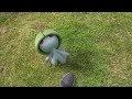 DÍA DE LA COMUNIDAD DE POKÉMON GO CON RALTS COMO PROTAGONISTA!
