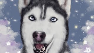 Procreate for Beginners / Pet Portrait