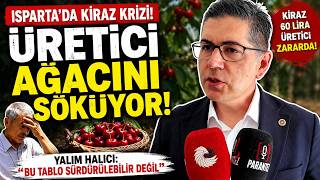 Kiraz Üreticisi İsyanda Yalım Halıcı: \