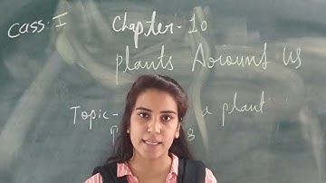 CLASS -1|| E.V.S || CHAPTER - 10 PLANTS AROUND US || PART - 1