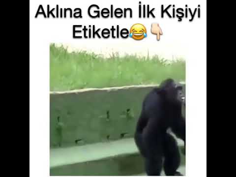 Aklına Gelen İlk Kişiyi Etiketle