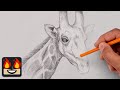 How To Draw A Giraffe Sketch Tutorial 