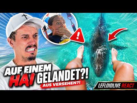 Sie landen auf einem Hai... (Daily Dose React)