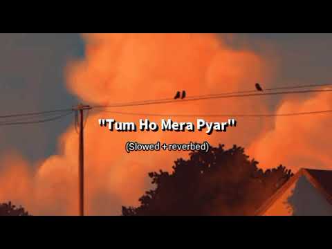 Tum Ho Mera Pyar (slowed and reverbed)