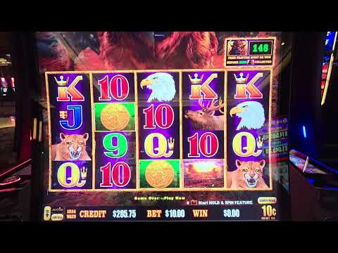 Why the High-Limit Buffalo Room Is the Place to Win!