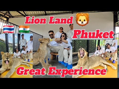 Lion Land 🦁 Phuket | One of the biggest Lion Park of Phuket