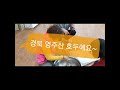 호두 까는 날