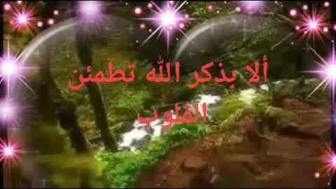 تلاوة تأخذك الى عالم أخر للقارئ فاتح سفرجيك