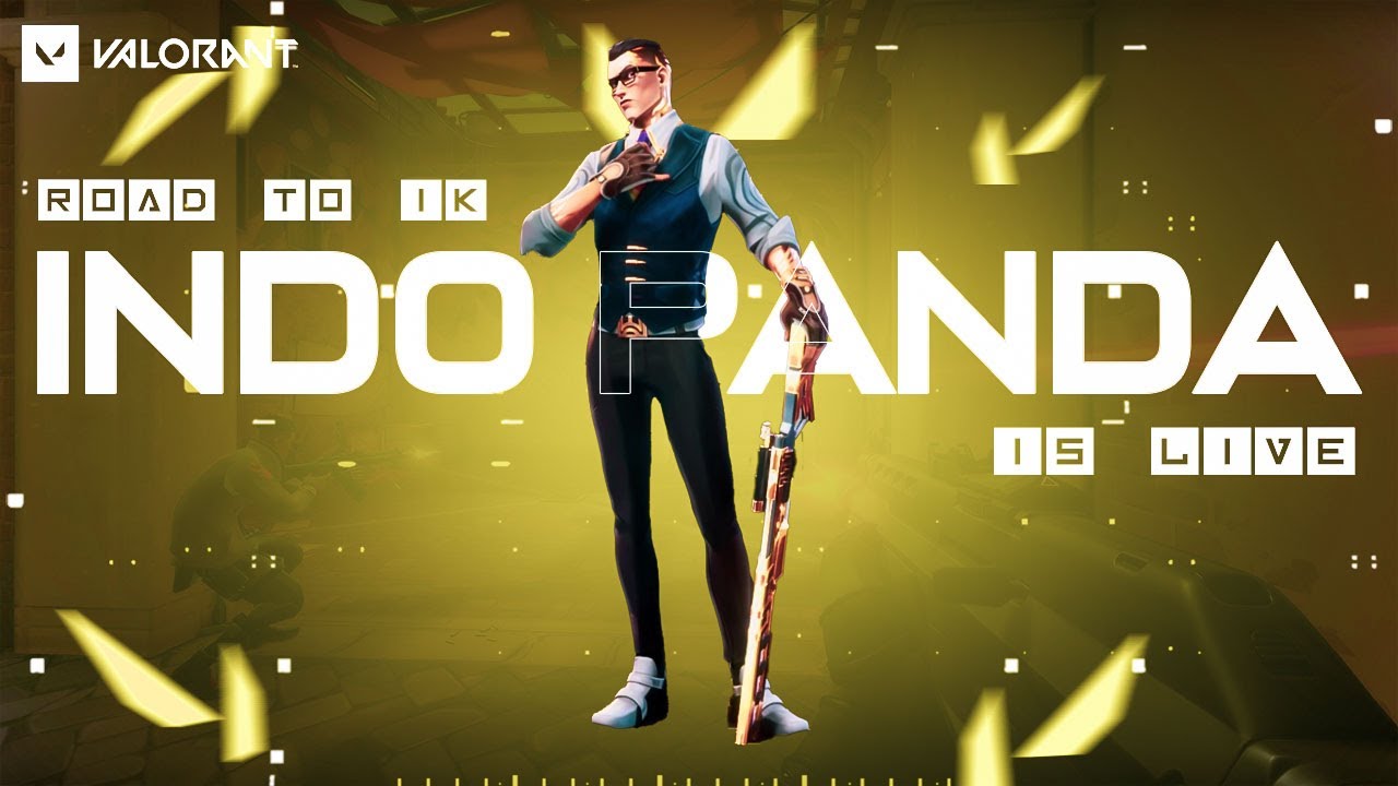 Noob Panda's Journey to Becoming a Valorant Pro | Journey to 1k subs #valorantlive