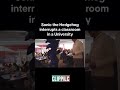 POV: Sonic Just Walked Into Your College Class