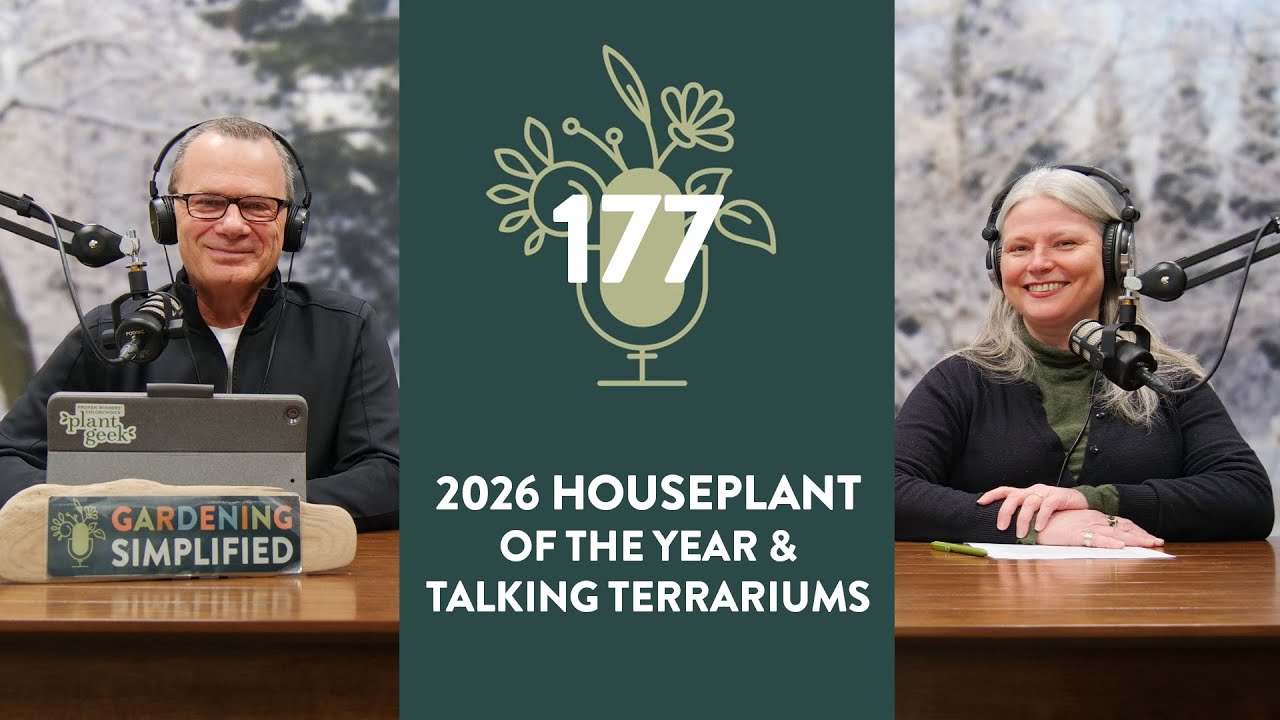 2026 Houseplant of the Year and Tips for Making Terrariums | 177