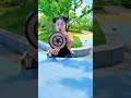 Watch This! 😂💪 #funnyshorts #funny #Celine_MissBunBun