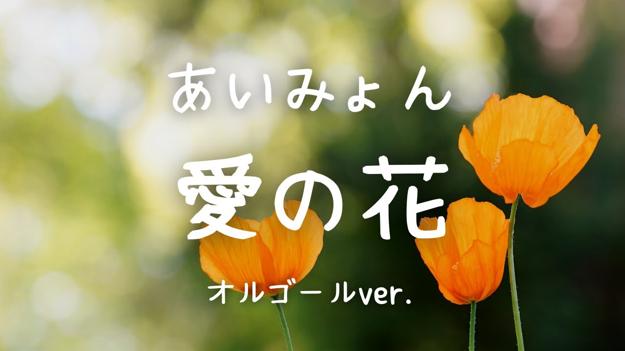 愛の花 - あいみょん【オルゴールver.】ドラマ「らんまん」主題歌